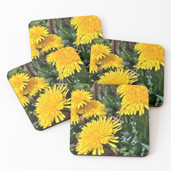 Item preview, Spring Dandelions - Variation in Lighting - Early Spring Blooms designed and sold by Ric1926.