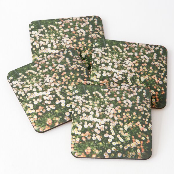 Item preview, Carnival of Flowers daisies 35mm film flash photography designed and sold by Dominique Tassell.