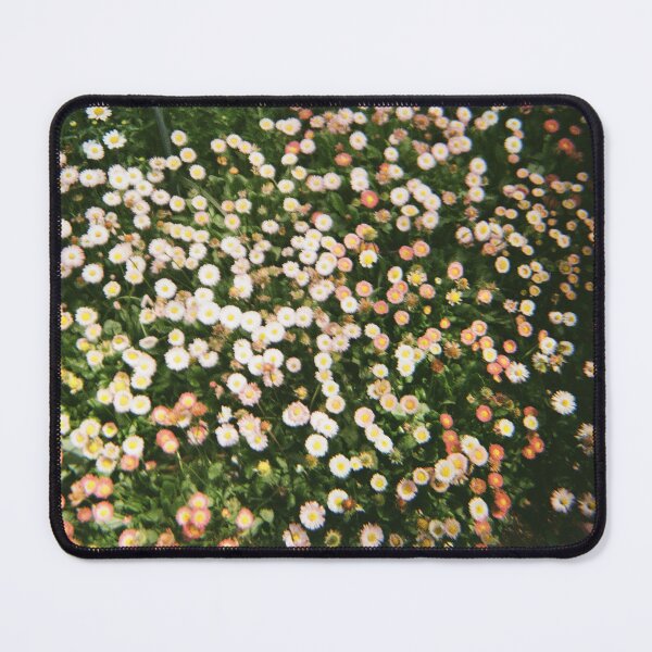 Item preview, Carnival of Flowers daisies 35mm film flash photography designed and sold by Dominique Tassell.