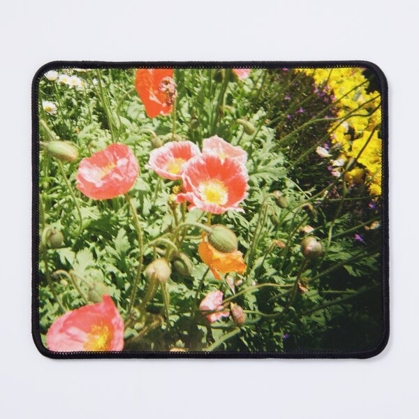 Item preview, Carnival of Flowers 35mm film photography designed and sold by Dominique Tassell.