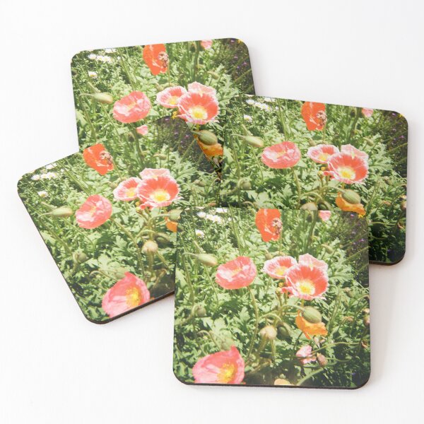 Item preview, Carnival of Flowers 35mm film photography designed and sold by Dominique Tassell.