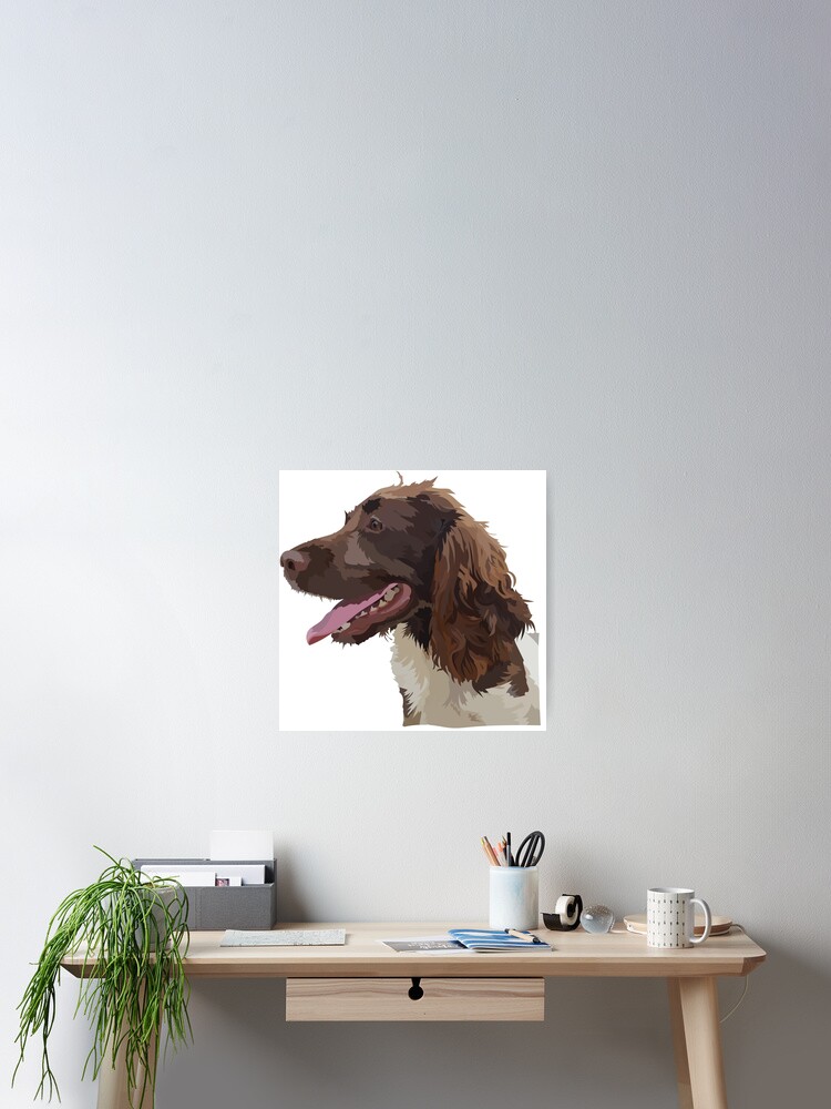 desk springer spaniels