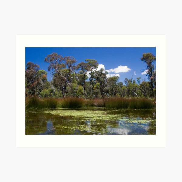Cathedral Rocks National Park Art Print