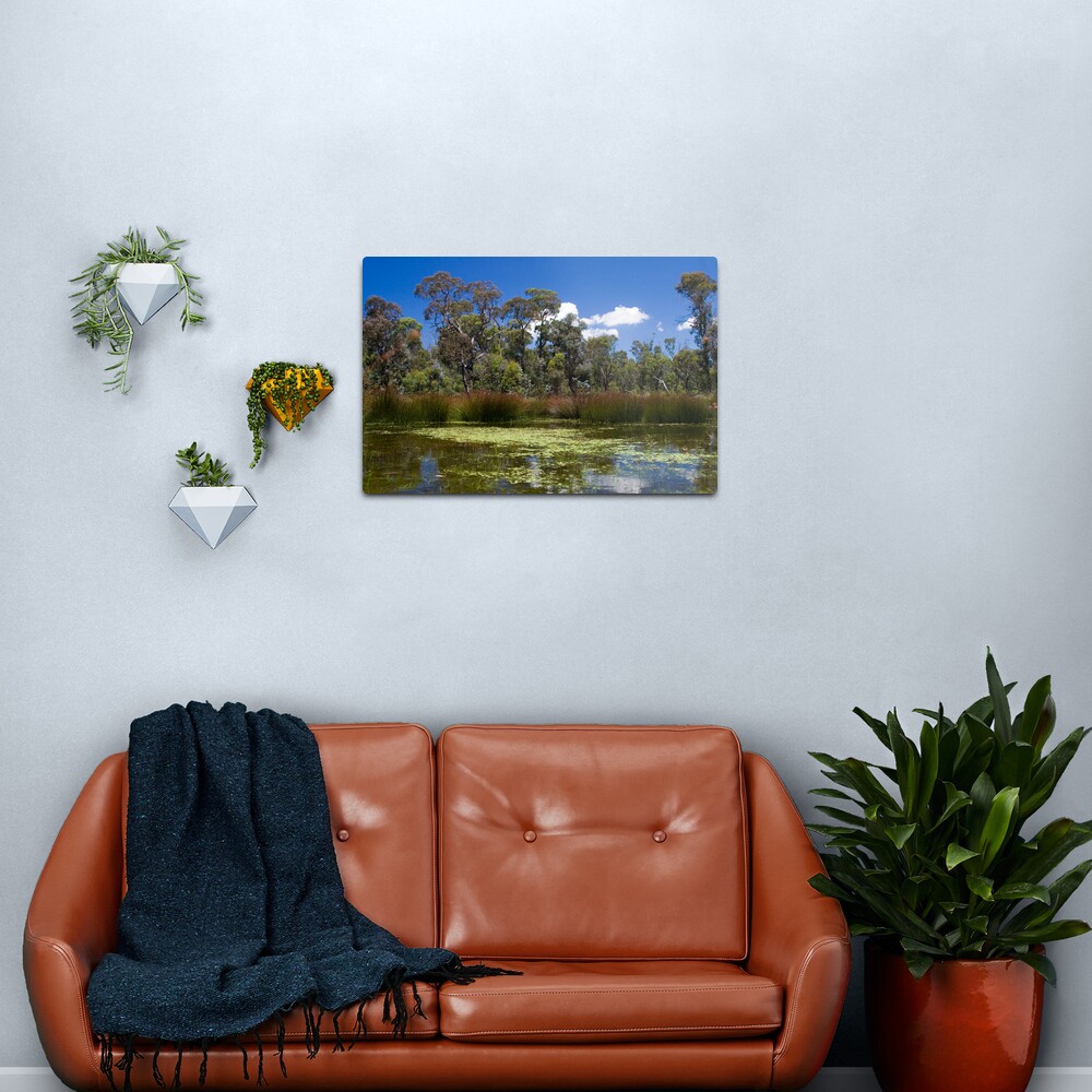 Cathedral Rocks National Park Metal Print