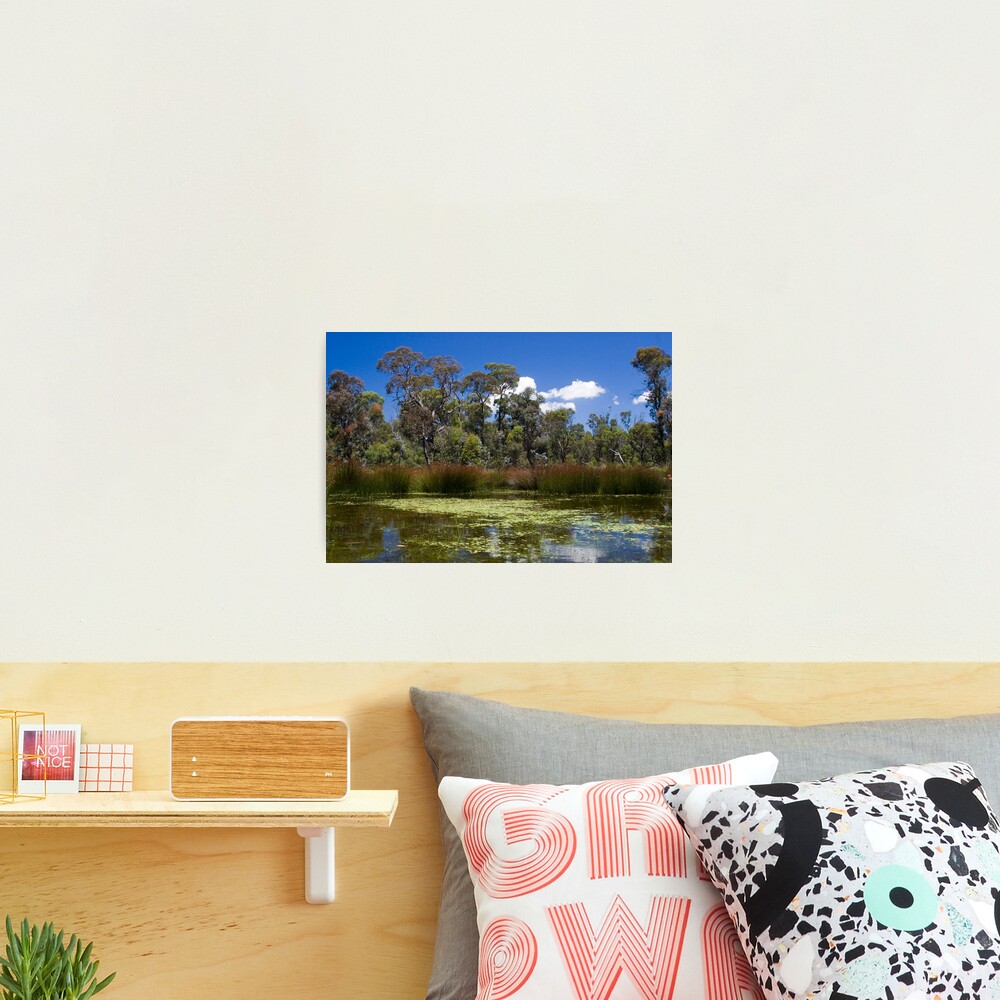 Cathedral Rocks National Park Photographic Print