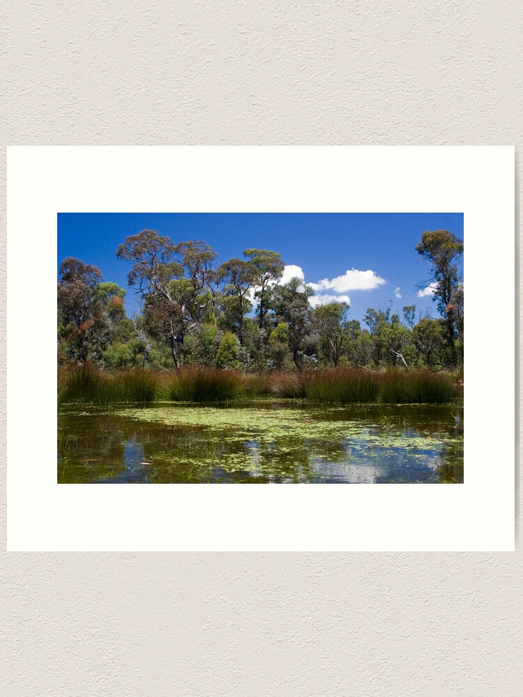 Thumbnail 1 of 3, Art Print, Cathedral Rocks National Park designed and sold by theoddshot.