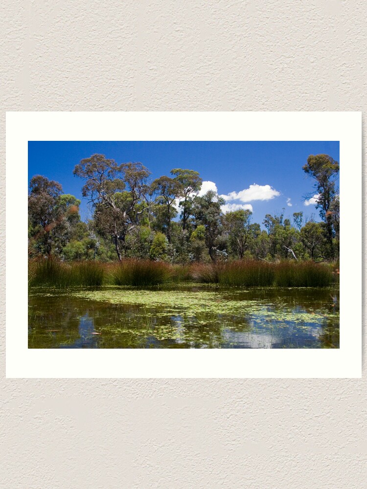 Alternate view of Cathedral Rocks National Park Art Print