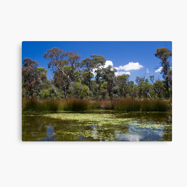 Cathedral Rocks National Park Canvas Print