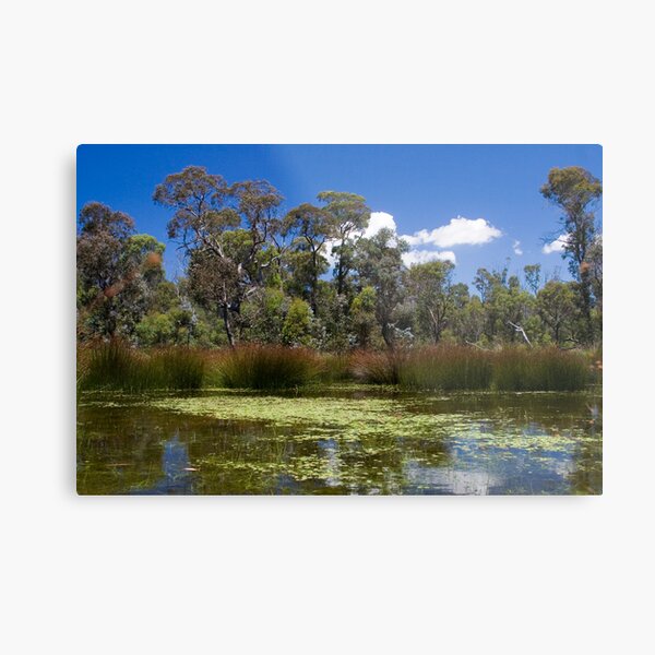 Cathedral Rocks National Park Metal Print