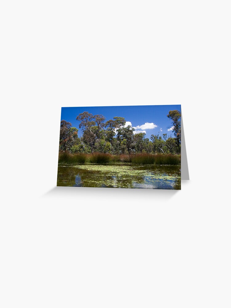 Thumbnail 1 of 2, Greeting Card, Cathedral Rocks National Park designed and sold by theoddshot.