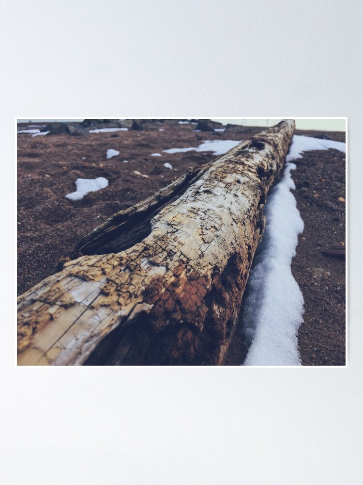 "Wood Grain" Poster by Treesuh Redbubble