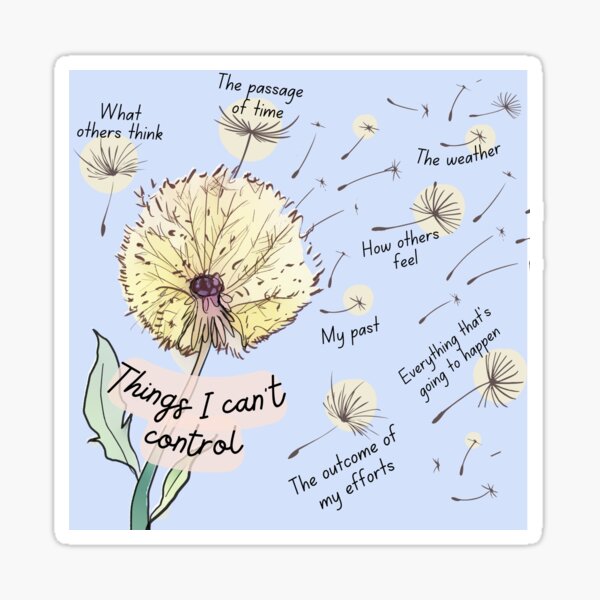 Item preview, Things You Can't Control designed and sold by ThoughtJumble.