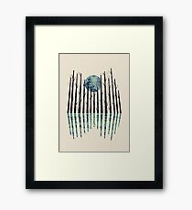 Little black forest Framed Print