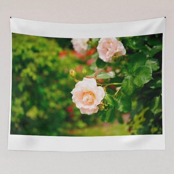 Item preview, Light Pink Rose designed and sold by danachirps.