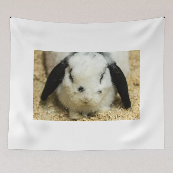 Item preview, Rabbit designed and sold by Hannah Lowe.