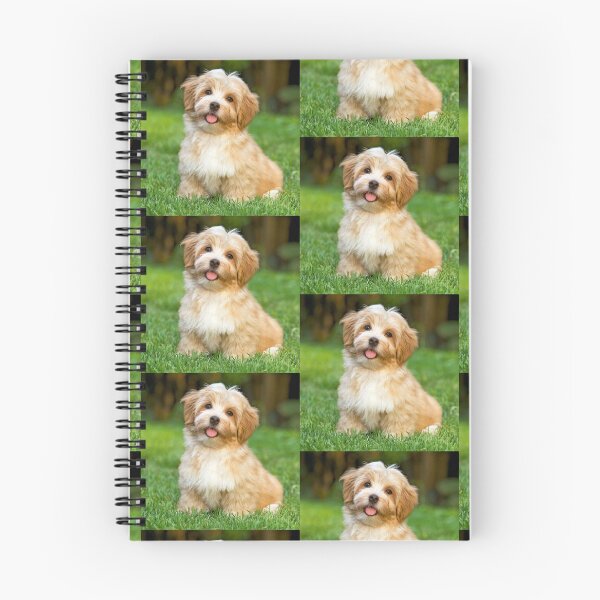 Item preview, Cute little dog  designed and sold by mary1966.