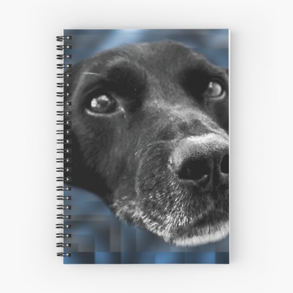Artikelvorschau, Hund v3.2f entworfen und verkauft von GeorgeSears.