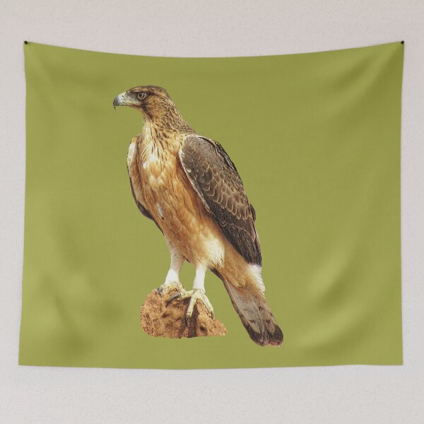 Item preview, Short-toed eagle - eagle - bird in Africa - ornithology designed and sold by TShirtsundMehr.