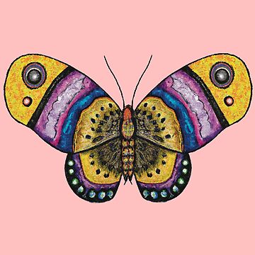 Pink Butterfly, Butterfly, Butterfly Print, Pink Butterfly Print, Pink  Decor, Pink Color Art, Butterfly Art Print, Butterfly Wall Prints - Etsy