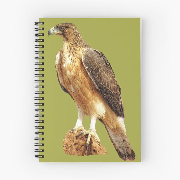 Item preview, Short-toed eagle - eagle - bird in Africa - ornithology designed and sold by TShirtsundMehr.