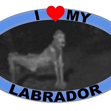 Imagen de la obra AMO A MI LABRADOR de Jijarugen
