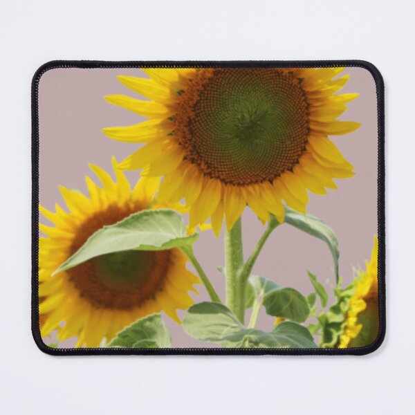 Item preview, Sunflower Collection, sunflower designed and sold by firda23.