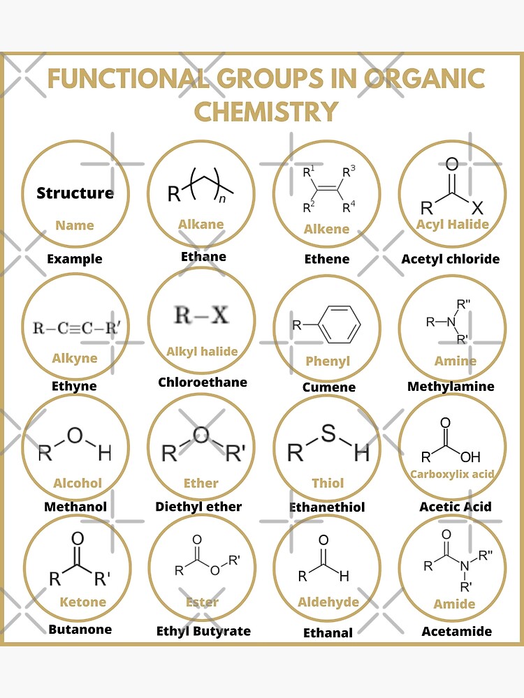 Functional Groups in Organic Chemistry