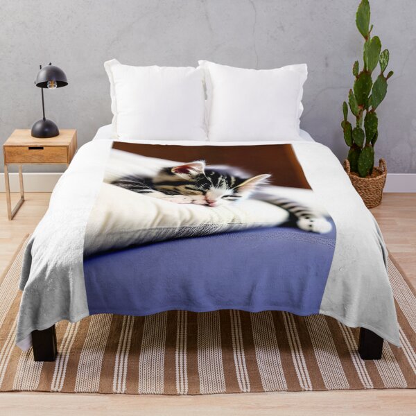 Item preview, Kitten sleeping on pillow designed and sold by zorropriest.