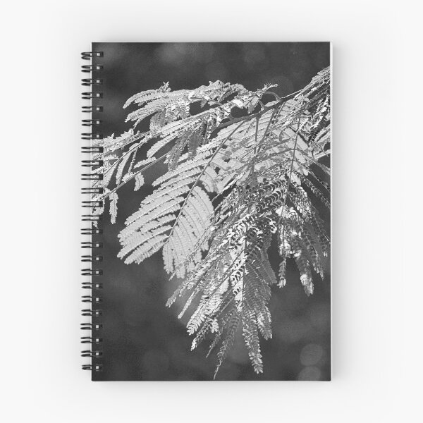 Item preview, Fronds. designed and sold by Paul Pasco.