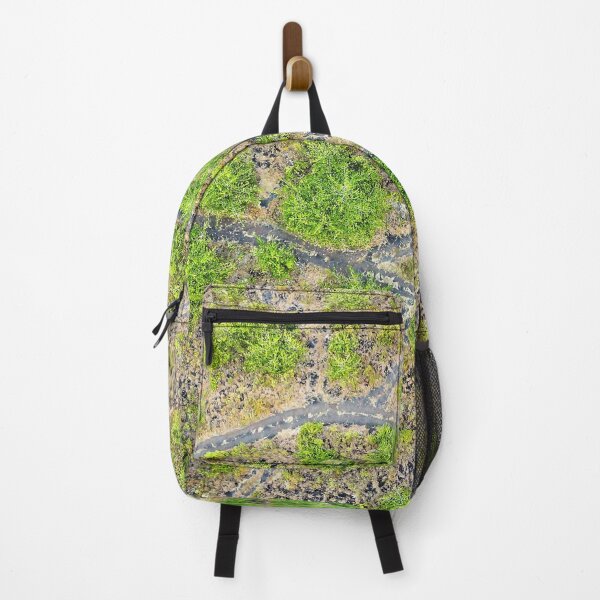 Item preview, Shipman Foliage Trail, Keaau Hawaii designed and sold by 808photodesigns.