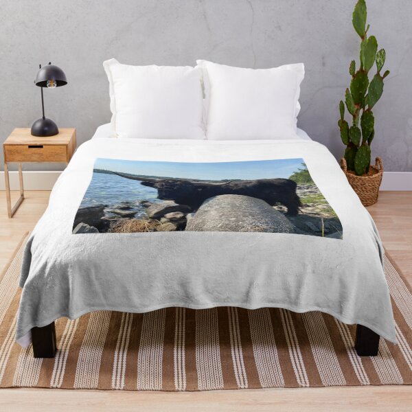 Item preview, Scottish Highland Cattle Bull 4046 designed and sold by SaarelaHighland.