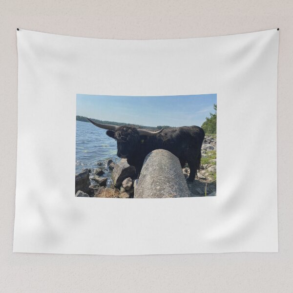 Item preview, Scottish Highland Cattle Bull 4046 designed and sold by SaarelaHighland.