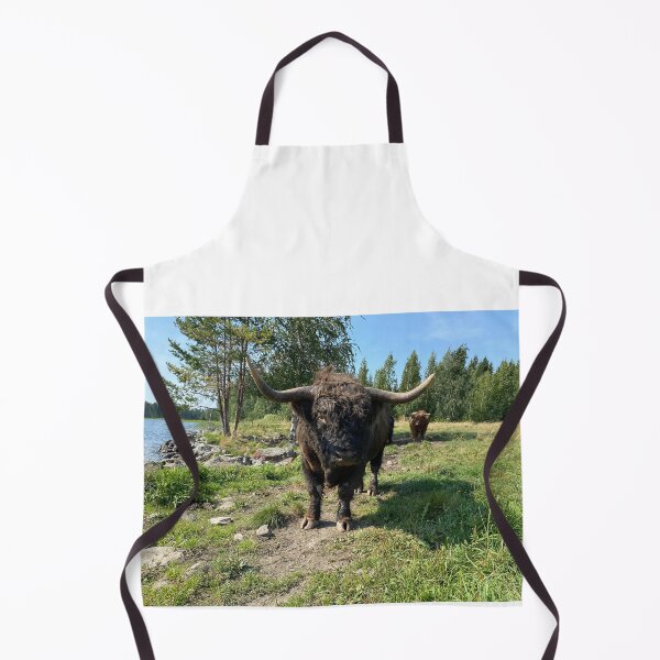 Item preview, Scottish Highland Cattle Bull 4047 designed and sold by SaarelaHighland.