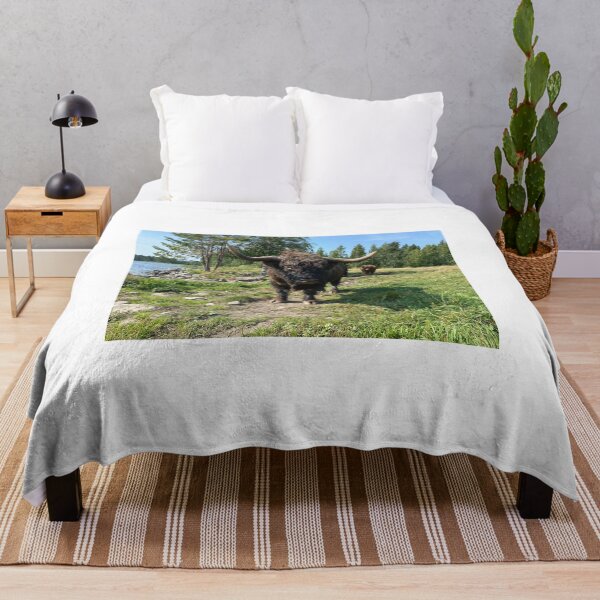 Artikelvorschau, Scottish Highland Cattle Bull 4047 entworfen und verkauft von SaarelaHighland.