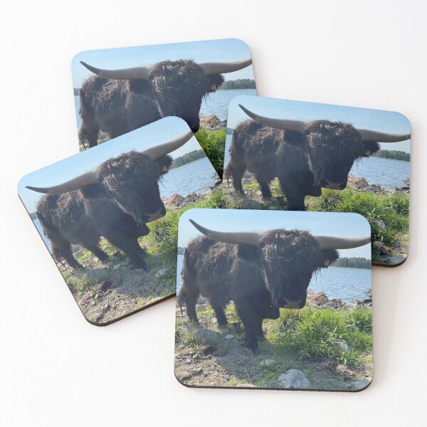 Item preview, Scottish Highland Cattle Bull 4048 designed and sold by SaarelaHighland.