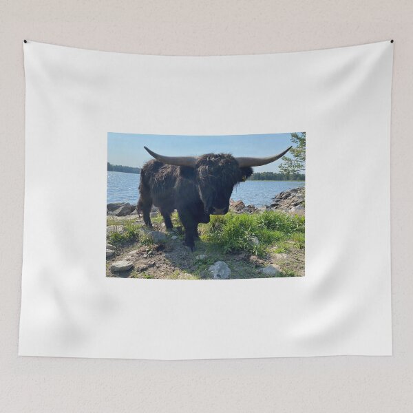 Item preview, Scottish Highland Cattle Bull 4048 designed and sold by SaarelaHighland.