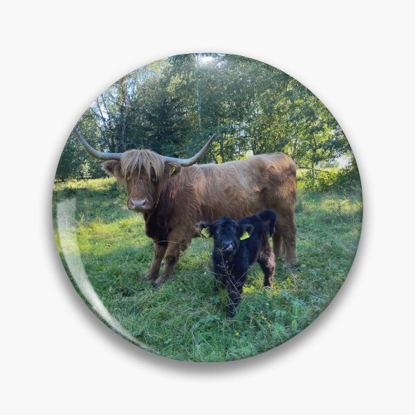 Artikelvorschau, Scottish Highland Cattle Cow and Calf 4050 entworfen und verkauft von SaarelaHighland.
