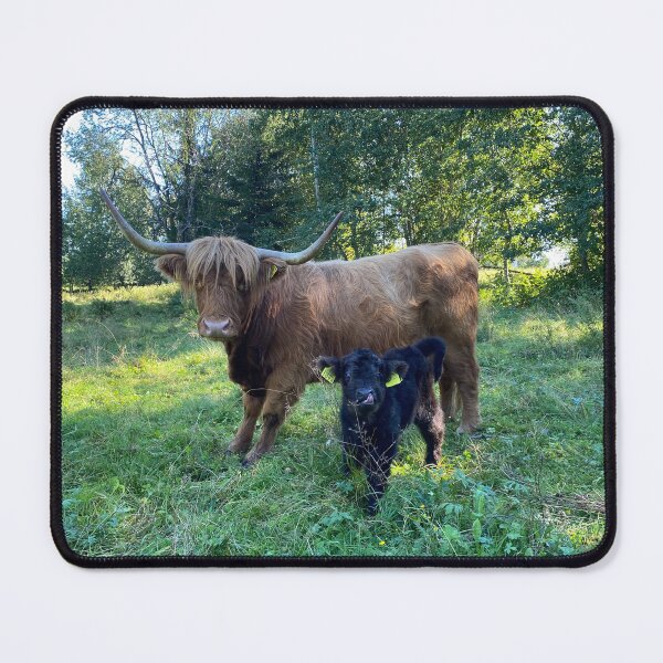 Item preview, Scottish Highland Cattle Cow and Calf 4050 designed and sold by SaarelaHighland.