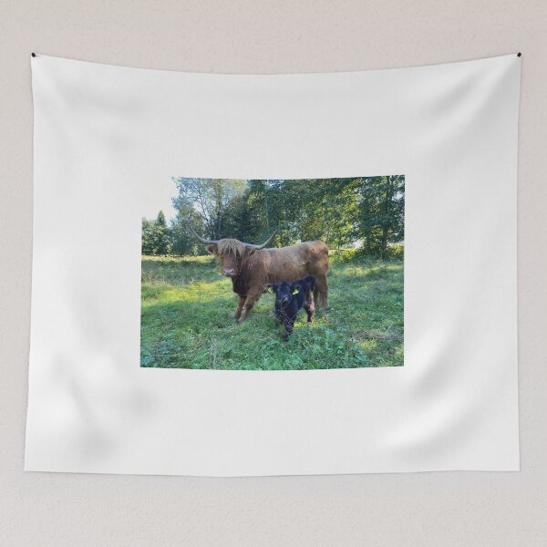 Item preview, Scottish Highland Cattle Cow and Calf 4050 designed and sold by SaarelaHighland.