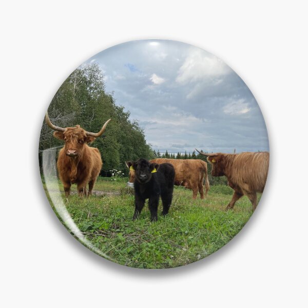 Artikelvorschau, Scottish Highland Cattle Cows and Calf 4051 entworfen und verkauft von SaarelaHighland.