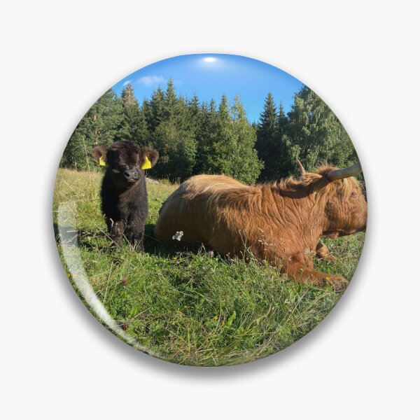Artikelvorschau, Scottish Highland Cattle Cow and Calf 4052 entworfen und verkauft von SaarelaHighland.