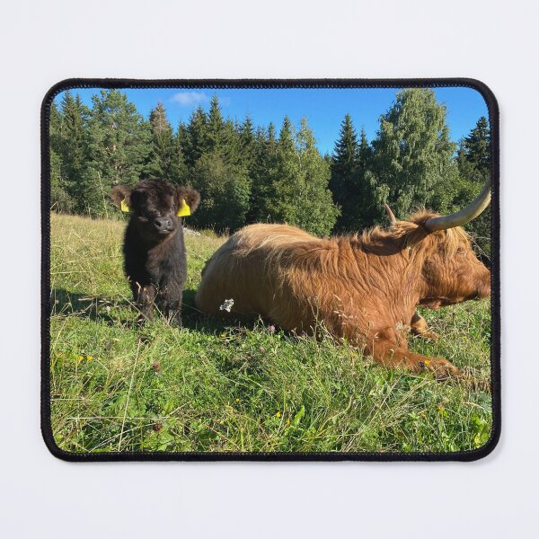 Item preview, Scottish Highland Cattle Cow and Calf 4052 designed and sold by SaarelaHighland.