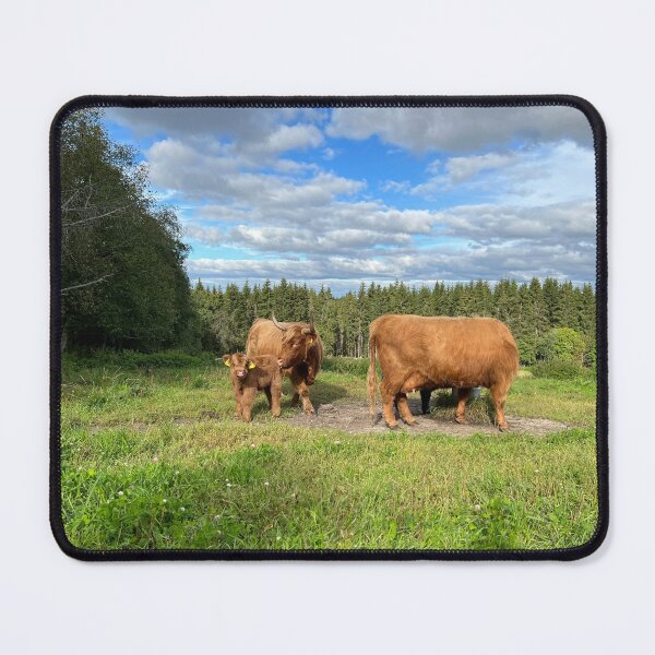 Item preview, Scottish Highland Cattle Cow and Calf 4055 designed and sold by SaarelaHighland.