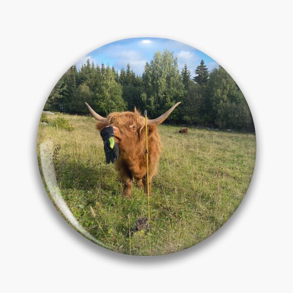 Artikelvorschau, Scottish Highland Cattle Heifer 4057 entworfen und verkauft von SaarelaHighland.