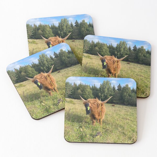Item preview, Scottish Highland Cattle Heifer 4057 designed and sold by SaarelaHighland.