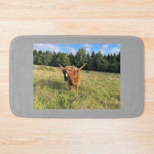 Item preview, Scottish Highland Cattle Heifer 4057 designed and sold by SaarelaHighland.