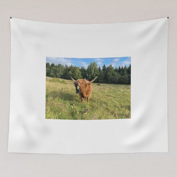 Item preview, Scottish Highland Cattle Heifer 4057 designed and sold by SaarelaHighland.