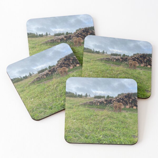 Item preview, Scottish Highland Cattle Calf 4058 designed and sold by SaarelaHighland.