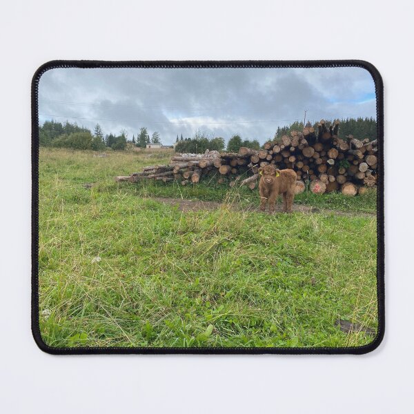Item preview, Scottish Highland Cattle Calf 4058 designed and sold by SaarelaHighland.