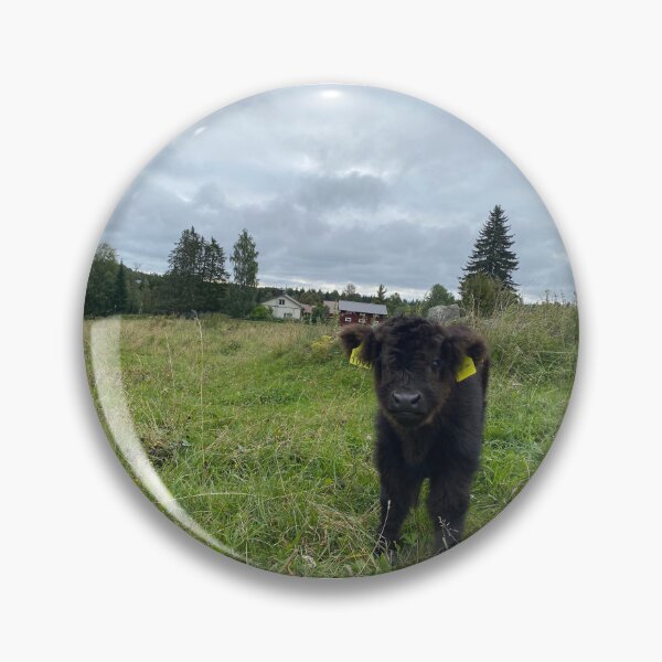 Item preview, Scottish Highland Cattle Calf 4062 designed and sold by SaarelaHighland.